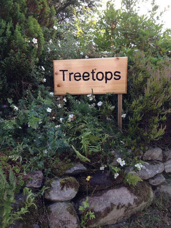 דרמנדרוכיט Treetops Bungalow Loch Ness חדר תמונה
